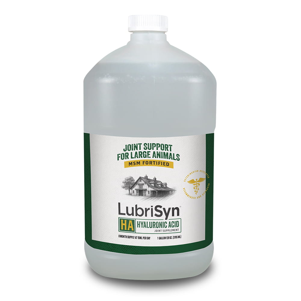 LubriSyn HA + MSM For Horses
