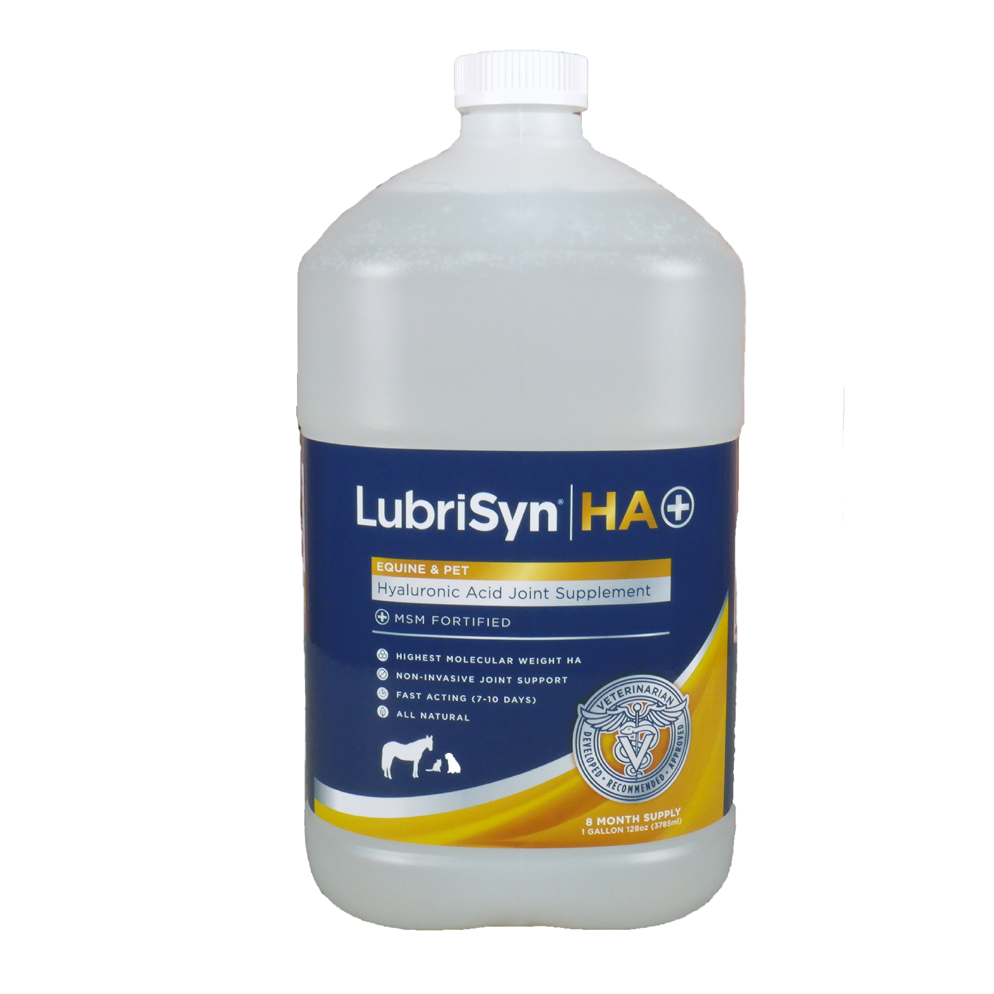 LubriSyn HA + msm gallon.
